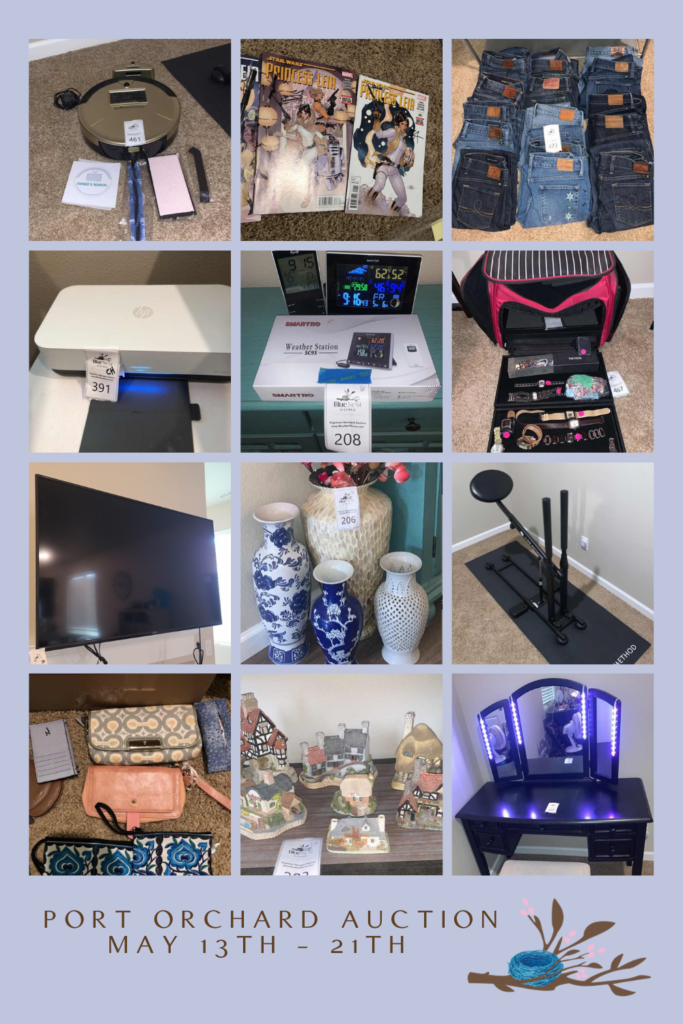 Collage of items for sale at online auction through maxsold with blue nest home. Show home goods, electronics and women's jeans.