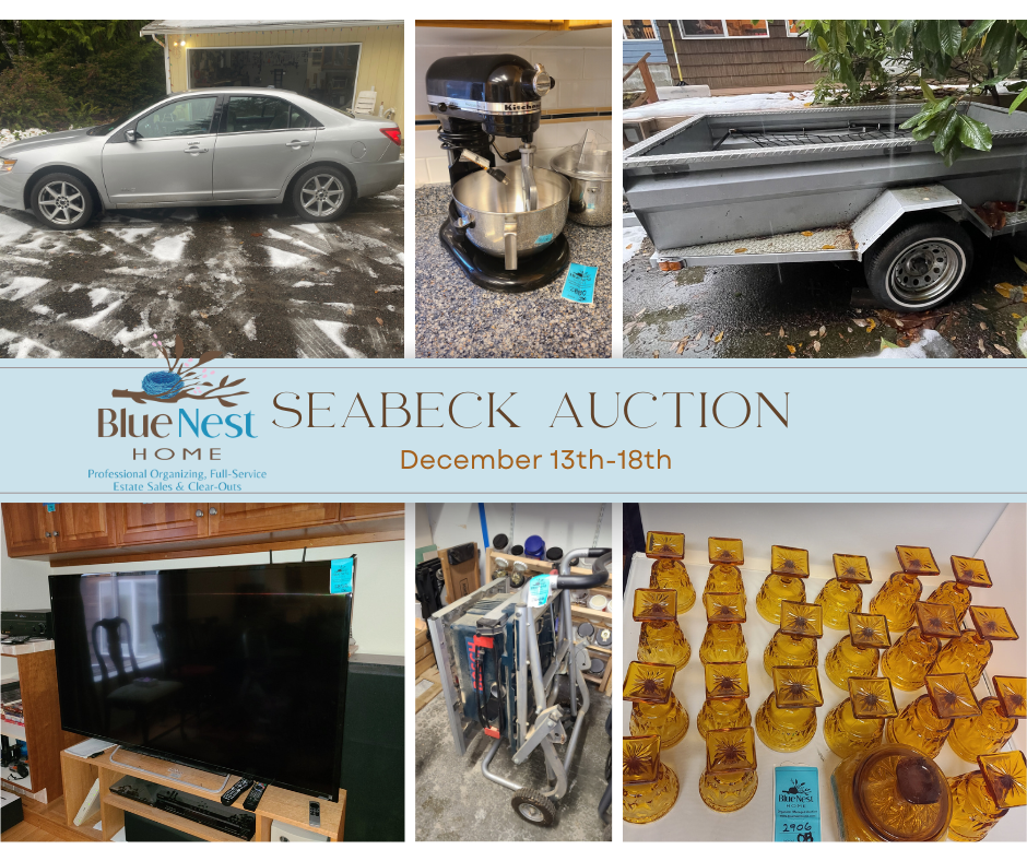 Collage of items for sale as one of Blue Nest Home top selling online auctions. Features a car and household goods. 